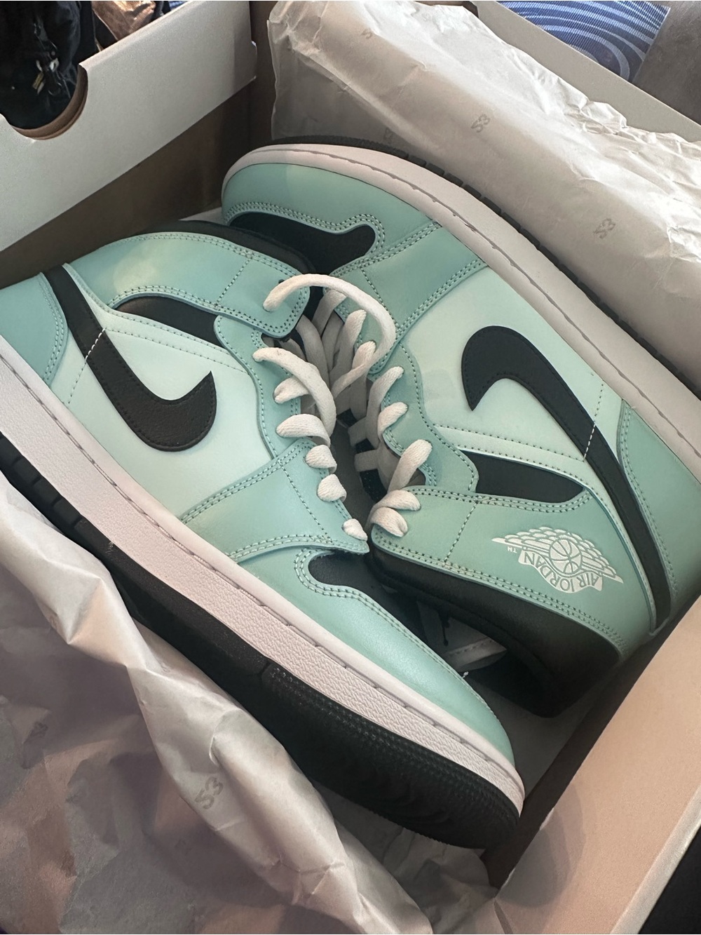 Jordan 1 Low in Mint and Black